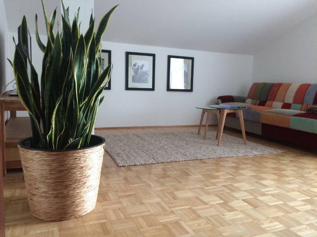Alpin Chic Apartment Grodig Exterior photo